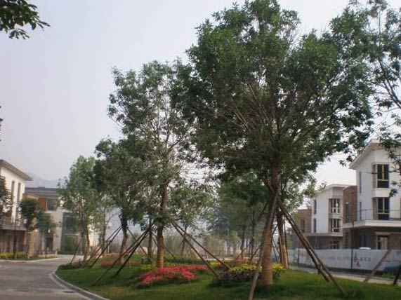 �@�־G������